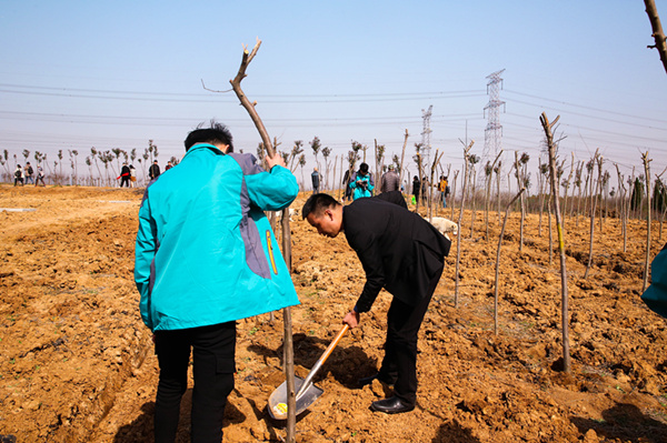 “攜手植樹，共創(chuàng)藍(lán)天”丨南京新華師生共筑新華育才林