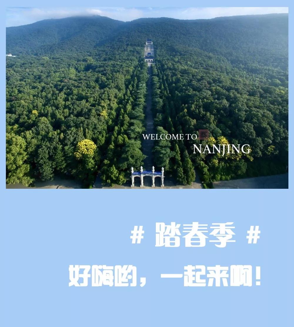 安排上了，南京新華邀你共赴免費(fèi)體驗(yàn)營