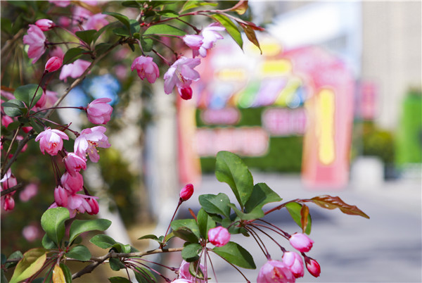 春暖花開，等你歸來——邀你云賞南新春景，以慰思念