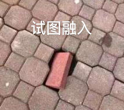 新華互聯(lián)網(wǎng)科技正式入駐Bilibili！會(huì)摩擦出什么樣火花呢？